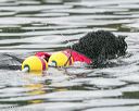 20140817-cwd-0269