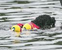 20140817-cwd-0270