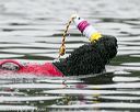 20140817-cwd-0281