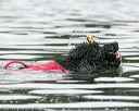 20140817-cwd-0282