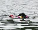 20140817-cwd-0284
