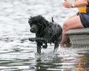 20140817-cwd-0317