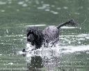 20140817-cwd-0348