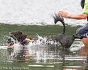 20140817-cwd-0358