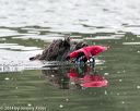 20140817-cwd-0365