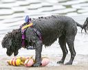20140817-cwd-0379