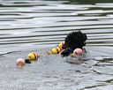 20140817-cwd-0387
