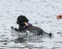 20140817-cwd-0393