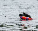 20140817-cwd-0395