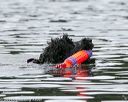 20140817-cwd-0402