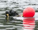 20140817-cwd-0418