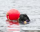 20140817-cwd-0420