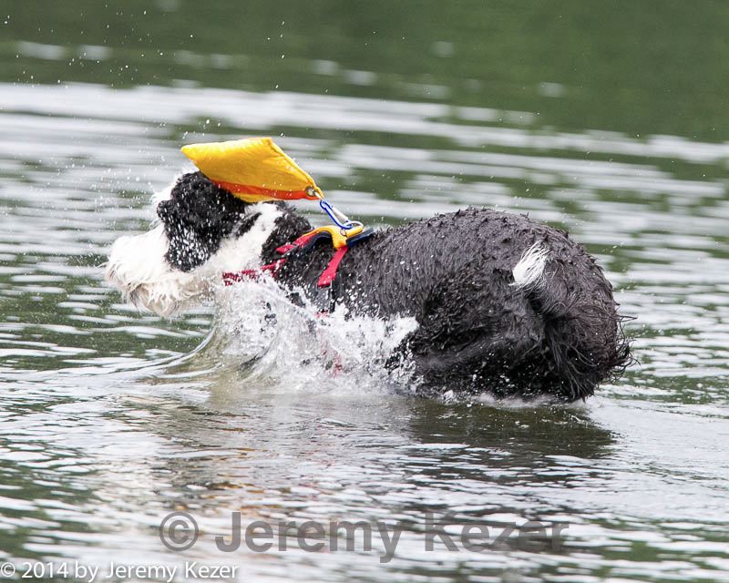 20140817-cwd-0007.jpg