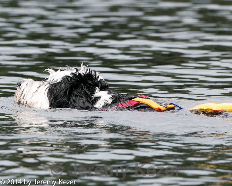 20140817-cwd-0011.jpg