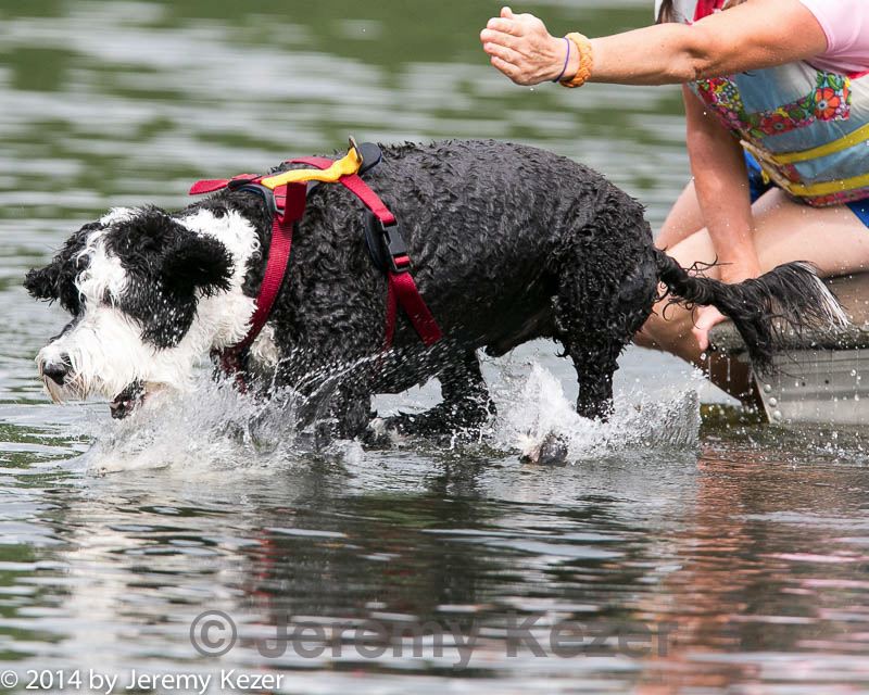 20140817-cwd-0022.jpg