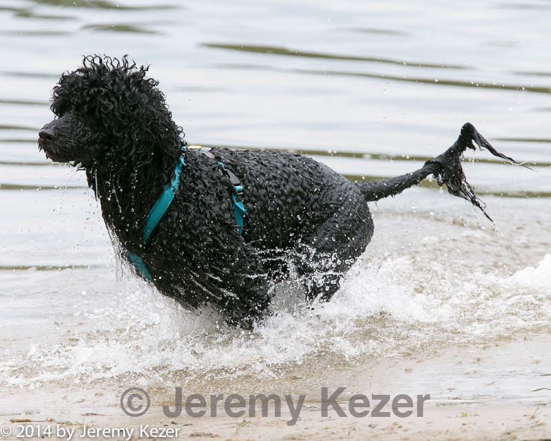 20140817-cwd-0177.jpg