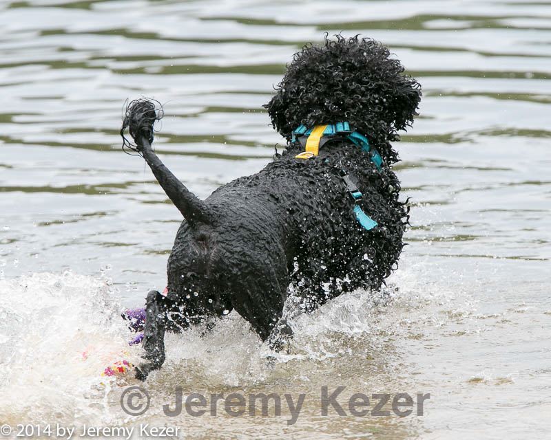 20140817-cwd-0192.jpg