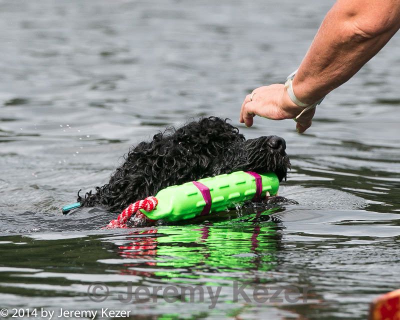 20140817-cwd-0211.jpg