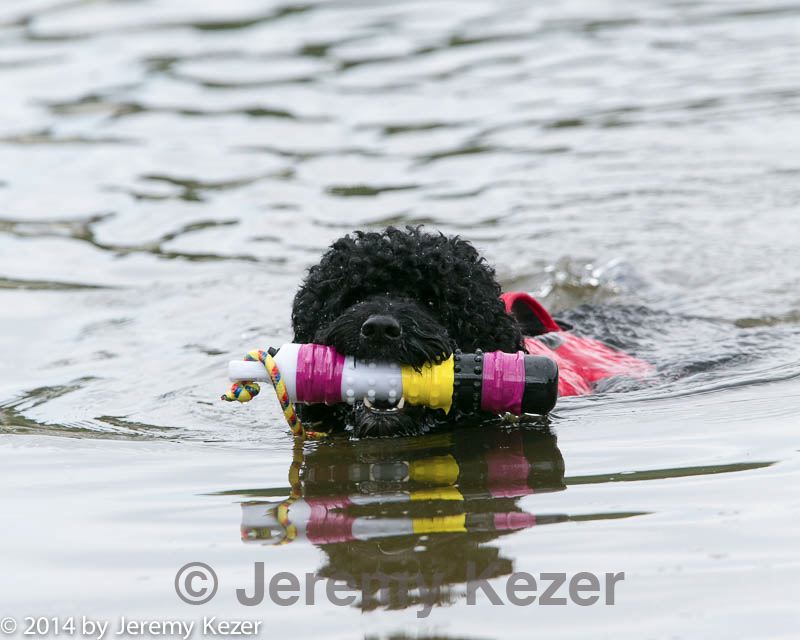 20140817-cwd-0227.jpg