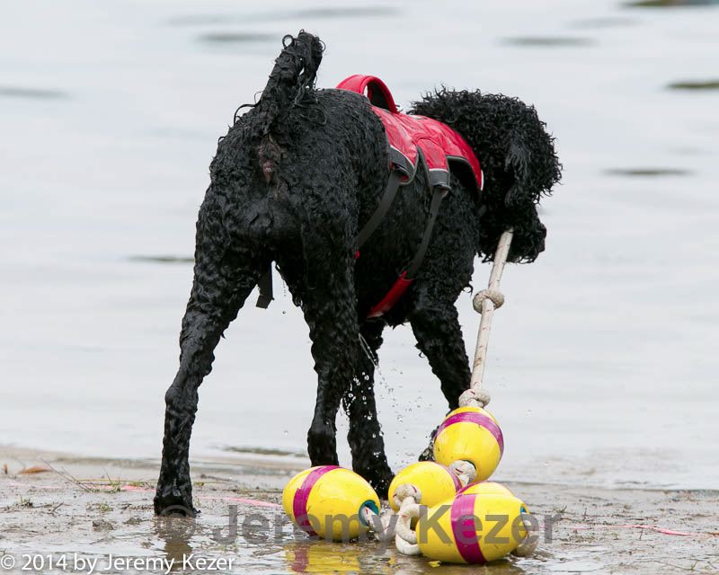 20140817-cwd-0258.jpg