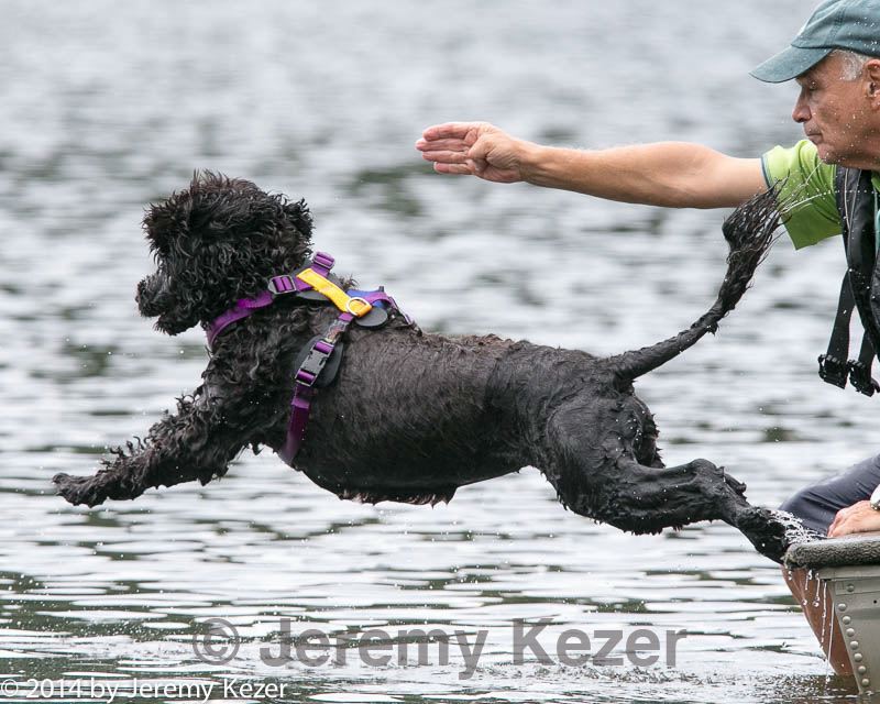 20140817-cwd-0403.jpg