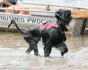 20140817-jwd-0051