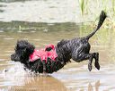 20140817-jwd-0065
