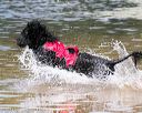 20140817-jwd-0067
