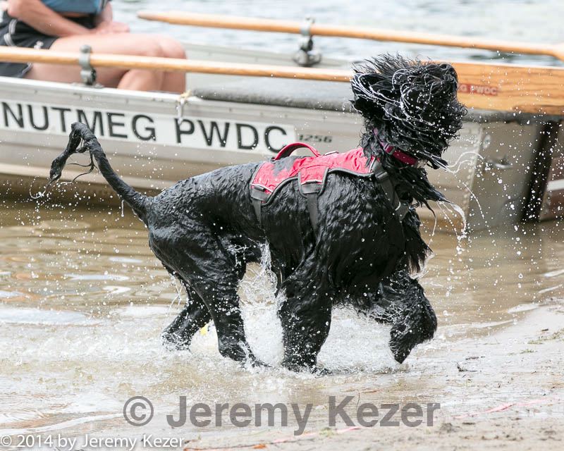 20140817-jwd-0051.jpg