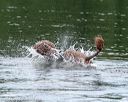 20140817-vers-0006