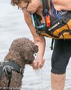 20140817-vers-0015