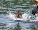 20140817-vers-0054