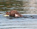 20140817-vers-0078