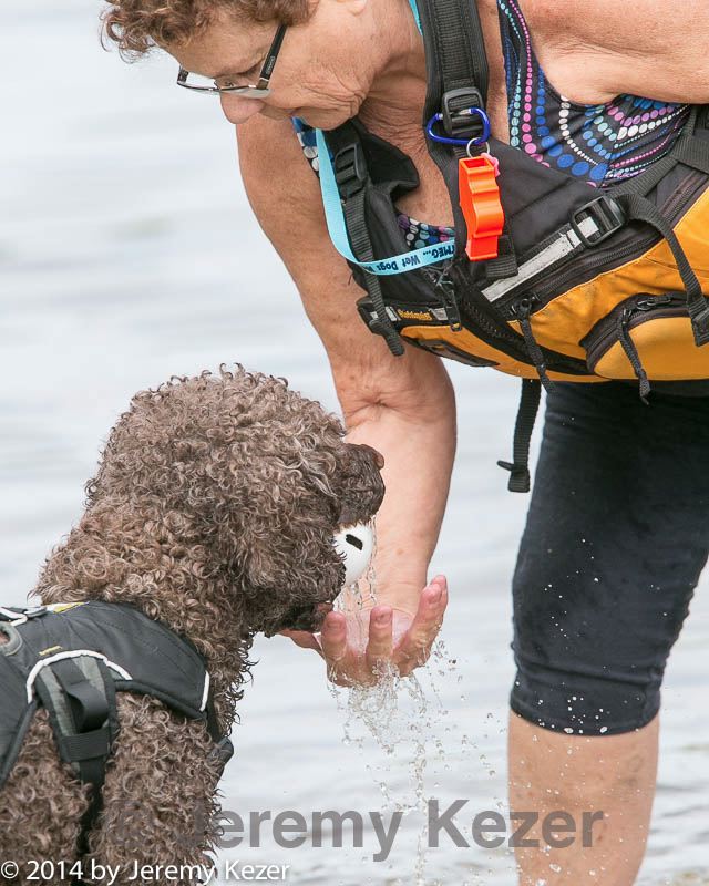 20140817-vers-0015.jpg