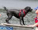 20140817-wwd-0018