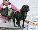 20140817-wwd-0042