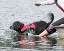 20140817-wwd-0055