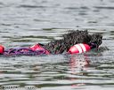 20140817-wwd-0066