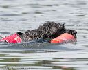 20140817-wwd-0070