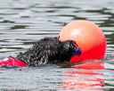 20140817-wwd-0076