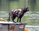20140817-wwd-0085