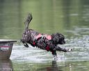 20140817-wwd-0087