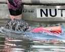 20140817-wwd-0094