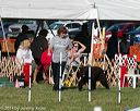20140926-wc-0053