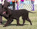 20140926-wc-0334