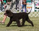 20140926-wc-0353
