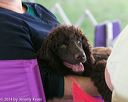 20140926-wc-0078
