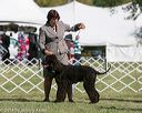 20140926-wc-0124
