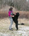 20150111-mpwdc-0176