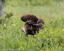 20150526-wcl-0225